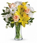 Teleflora's Daisies and Sunbeams from Backstage Florist in Richardson, Texas